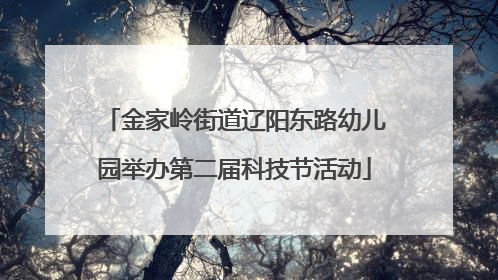 金家岭街道辽阳东路幼儿园举办第二届科技节活动