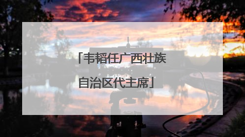 韦韬任广西壮族自治区代主席