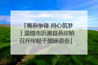 青燕争锋 同心筑梦丨淄博市沂源县燕崖镇召开年轻干部座谈会