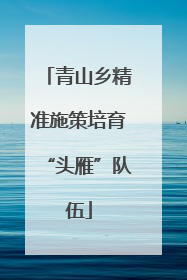青山乡精准施策培育“头雁”队伍
