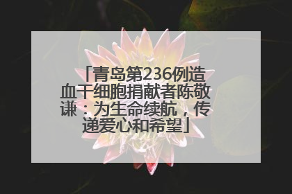 青岛第236例造血干细胞捐献者陈敬谦：为生命续航，传递爱心和希望