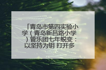 青岛市第四实验小学（青岛新昌路小学）管乐团七年蜕变：以坚持为钥 打开多元成长之门