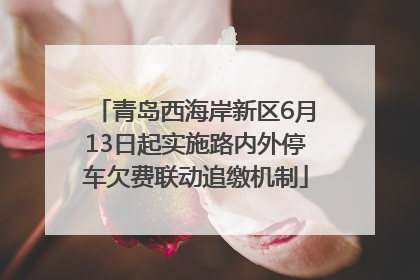 青岛西海岸新区6月13日起实施路内外停车欠费联动追缴机制