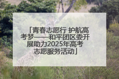 青春志愿行 护航高考梦——和平团区委开展助力2025年高考志愿服务活动