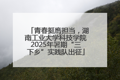 青春挺膺担当，湖南工业大学科技学院2025年暑期“三下乡”实践队出征