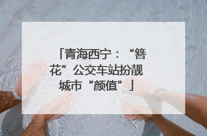 青海西宁：“簪花”公交车站扮靓城市“颜值”
