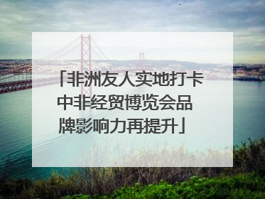 非洲友人实地打卡 中非经贸博览会品牌影响力再提升