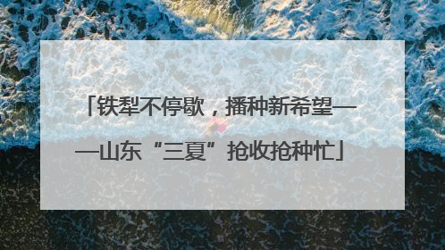 铁犁不停歇，播种新希望——山东“三夏”抢收抢种忙