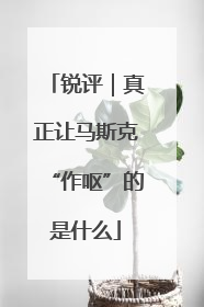 锐评｜真正让马斯克“作呕”的是什么
