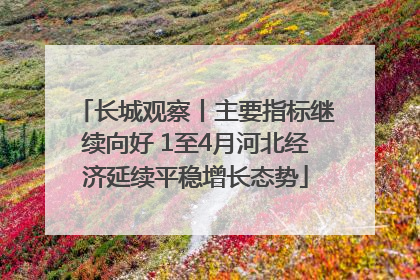 长城观察丨主要指标继续向好 1至4月河北经济延续平稳增长态势