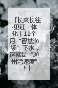 长来长往·见证一体化丨11个月“智慧渔场”下水，这就是“通州湾速度”！