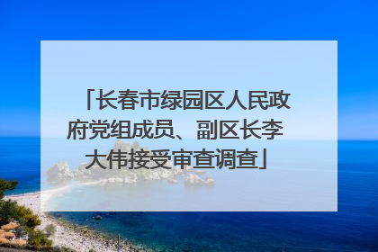 长春市绿园区人民政府党组成员、副区长李大伟接受审查调查