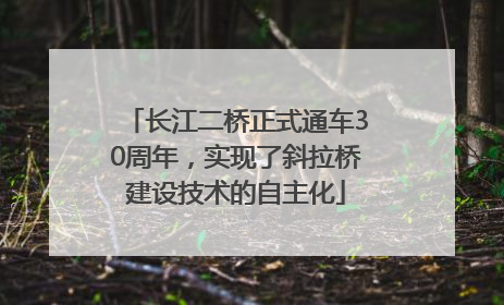 长江二桥正式通车30周年，实现了斜拉桥建设技术的自主化