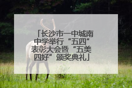 长沙市一中城南中学举行“五四”表彰大会暨“五美四好”颁奖典礼