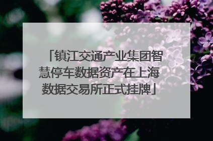 镇江交通产业集团智慧停车数据资产在上海数据交易所正式挂牌