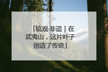 镜观·非遗｜在武夷山，这片叶子创造了传奇