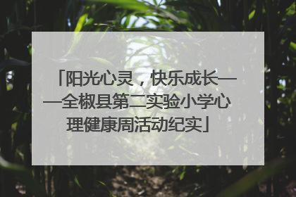 阳光心灵，快乐成长——全椒县第二实验小学心理健康周活动纪实
