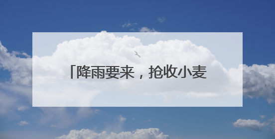 降雨要来，抢收小麦开启“倍速模式”