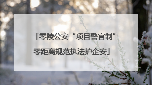 零陵公安“项目警官制”零距离规范执法护企安