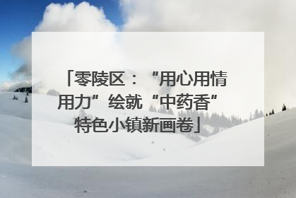 零陵区：“用心用情用力”绘就“中药香”特色小镇新画卷