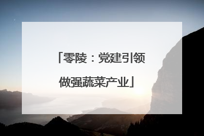 零陵：党建引领 做强蔬菜产业