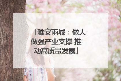 雅安雨城：做大做强产业支撑 推动高质量发展