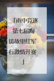 雨中竞逐 第七届陶铸故里红军行激情开赛