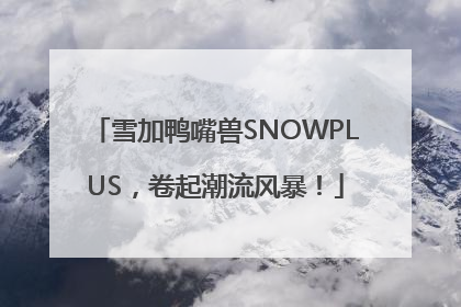 雪加鸭嘴兽SNOWPLUS，卷起潮流风暴！