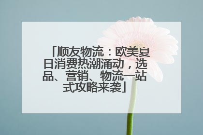 顺友物流：欧美夏日消费热潮涌动，选品、营销、物流一站式攻略来袭