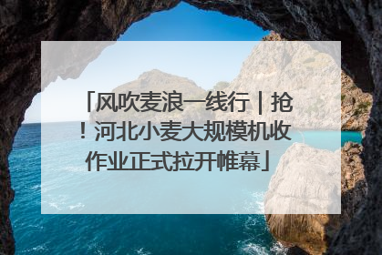 风吹麦浪一线行｜抢！河北小麦大规模机收作业正式拉开帷幕