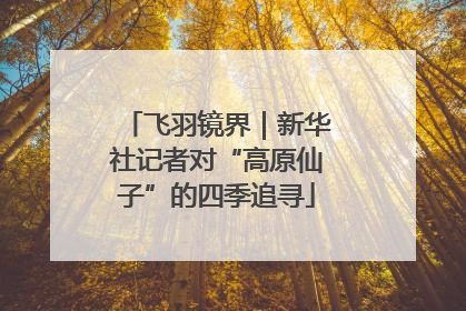 飞羽镜界｜新华社记者对“高原仙子”的四季追寻