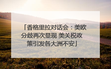 香格里拉对话会：美欧分歧再次显现 美关税政策引发各大洲不安