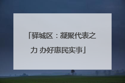 驿城区：凝聚代表之力 办好惠民实事