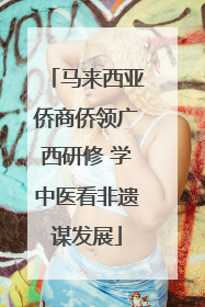 马来西亚侨商侨领广西研修 学中医看非遗谋发展