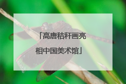 高唐秸秆画亮相中国美术馆