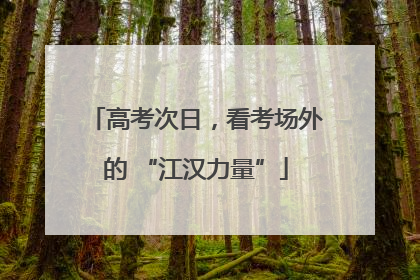 高考次日，看考场外的 “江汉力量”