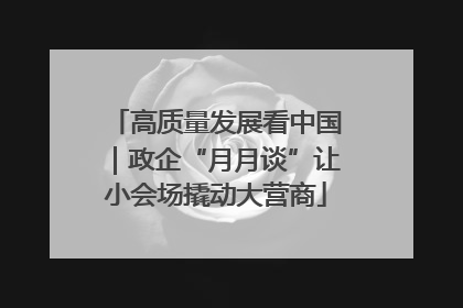 高质量发展看中国｜政企“月月谈”让小会场撬动大营商