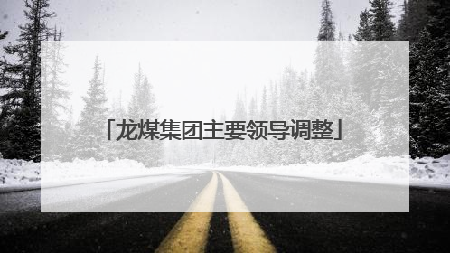 龙煤集团主要领导调整