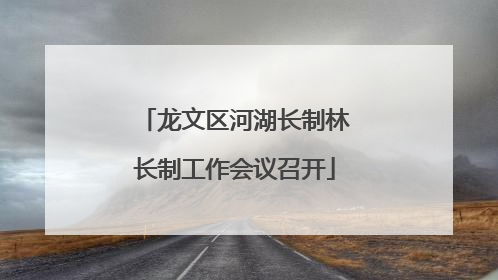 龙文区河湖长制林长制工作会议召开