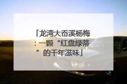 龙湾大岙溪杨梅：一颗“红盘绿蒂”的千年滋味