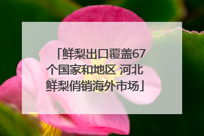 鲜梨出口覆盖67个国家和地区 河北鲜梨俏销海外市场