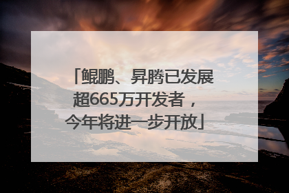 鲲鹏、昇腾已发展超665万开发者，今年将进一步开放