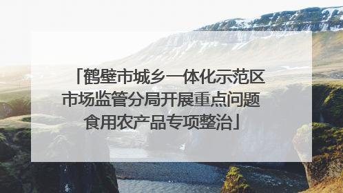 鹤壁市城乡一体化示范区市场监管分局开展重点问题食用农产品专项整治