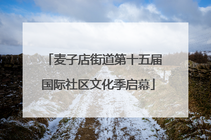麦子店街道第十五届国际社区文化季启幕