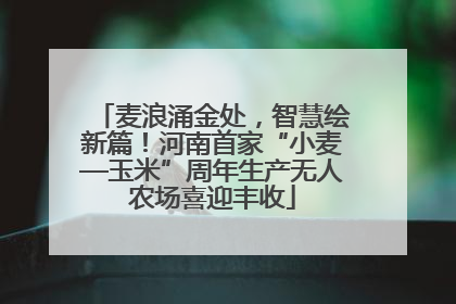 麦浪涌金处，智慧绘新篇！河南首家“小麦—玉米”周年生产无人农场喜迎丰收