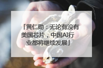 黄仁勋：无论有没有美国芯片，中国AI行业都将继续发展