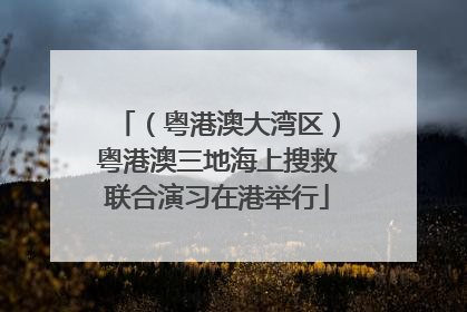 （粤港澳大湾区）粤港澳三地海上搜救联合演习在港举行