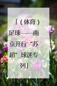 （体育）足球——南京开行“苏超”球迷专列