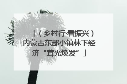 （乡村行·看振兴）内蒙古东部小镇林下经济“茸光焕发”