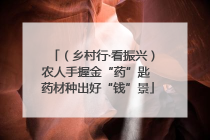 （乡村行·看振兴）农人手握金“药”匙 药材种出好“钱”景